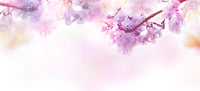 Flowers Avenue